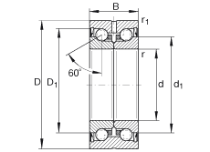 �����ǽ��|���S�� ZKLN2557-2Z, �p�����ɂ�(c��)�g϶�ܷ�